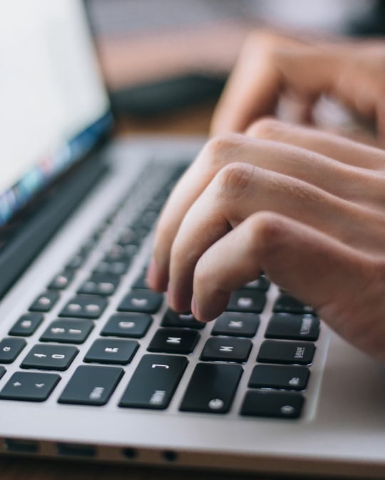 Everlast Capital Insights